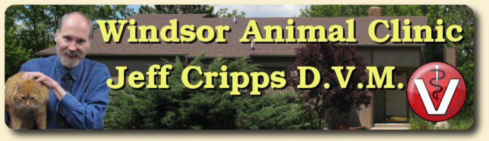 Windsor Animal Clinic